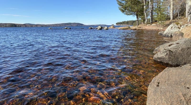 Närbild på stenar vid en vattenkant.