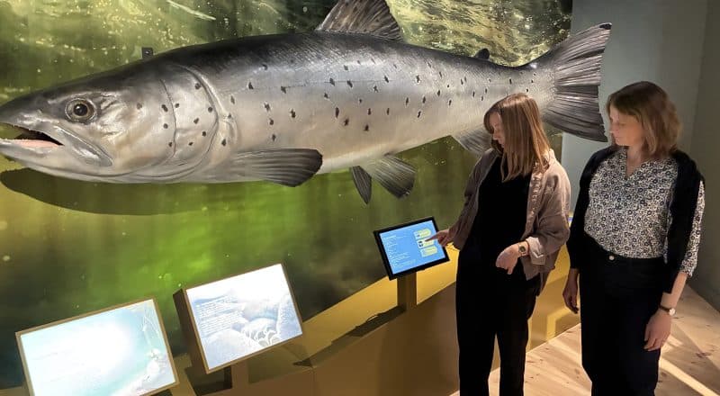 Två kvinnor står framför en stor modell av en öring, och pekskärmar med information om utställningen.