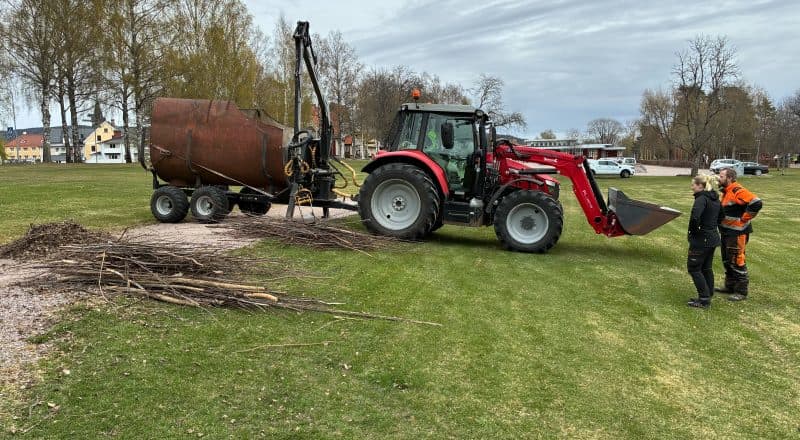 Traktor lyfter upp träpinnar och lägger dem på en vagn.