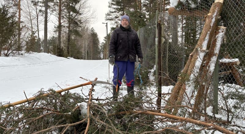Man står med såg och verktyg vid nedfallna träd intill elljusspåret.