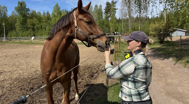 Kvinna i arbetskläder står och klappar på en social häst vid kanten av en hage.