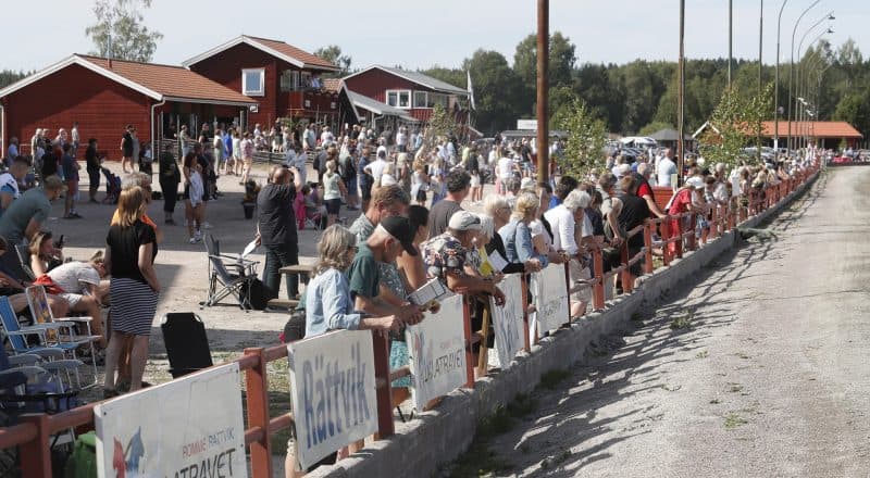 rättvikstravet publik